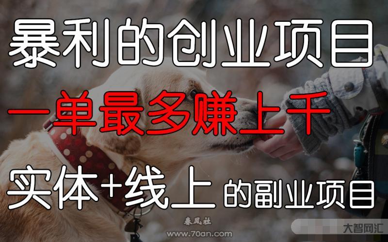 互聯(lián)網(wǎng)暴利賺錢項目