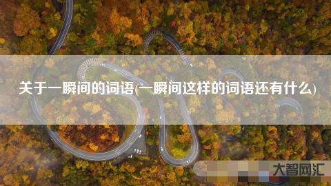 2、什么詞有什么詞？