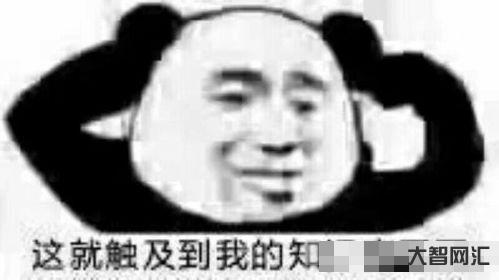 抱歉是什么意思?