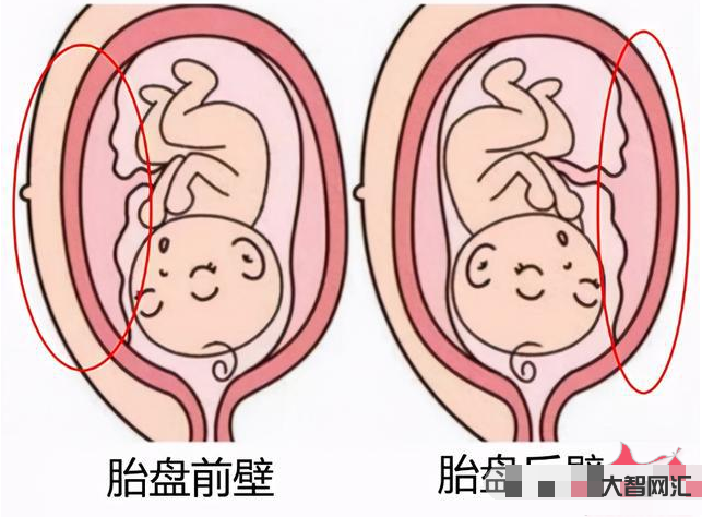 有胎盤了一般是幾周生-生與熟 胎盤幾級暗示媽媽就要生啦?