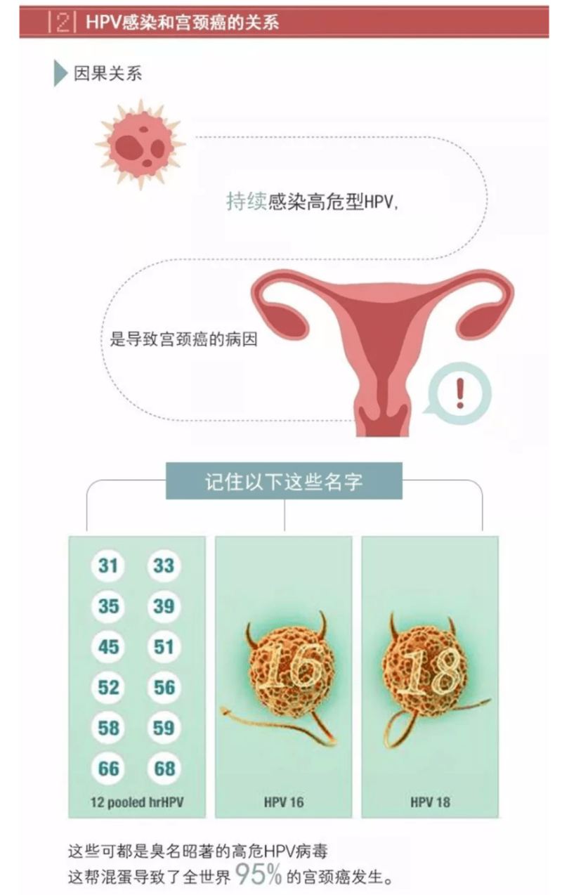 hpv是怎么感染上的-HPV病毒是如何傳播的，女性該如何預防，婦產科醫