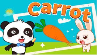 carrot如何讀（carrot如何讀什么意思）