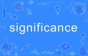 significance（significance的形容詞）