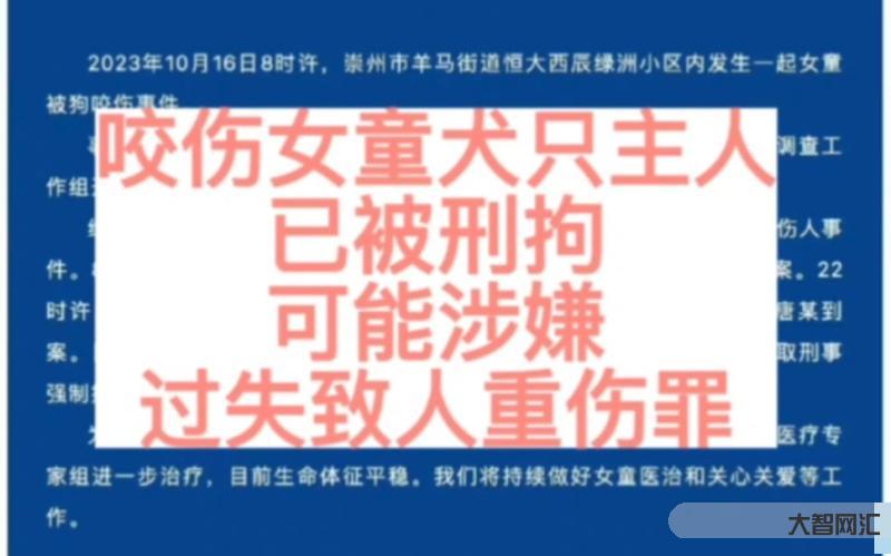 咬傷女童黑狗的主人被刑拘，引發社會關注-關注兒童安全，警惕黑狗傷人事件