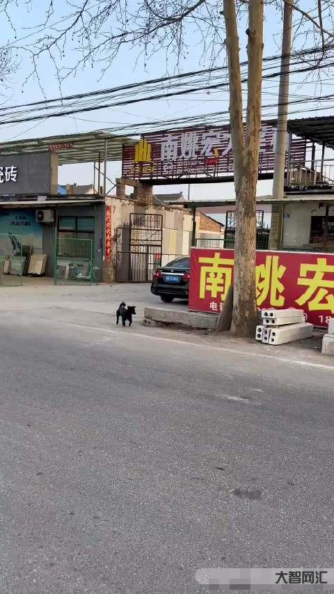 網(wǎng)購迪士尼套餐最終民警護送入園-網(wǎng)購迪士尼套餐最終民警護送入園，女子稱遭網(wǎng)店欺詐威脅